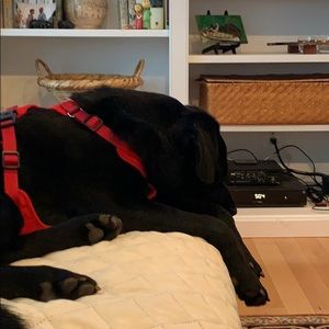 Meet your Posher, Jackie